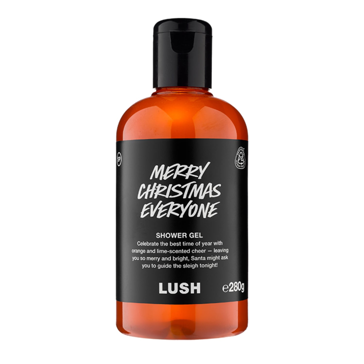 Merry Christmas Everyone